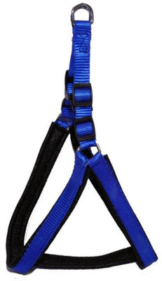 Furious3D Dog Collar & Leash(, BLUE