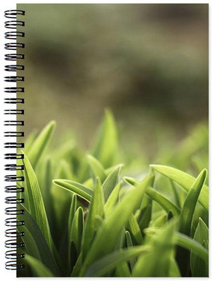Little Jaipur A5 Note Book(Designer, Multicolor)
