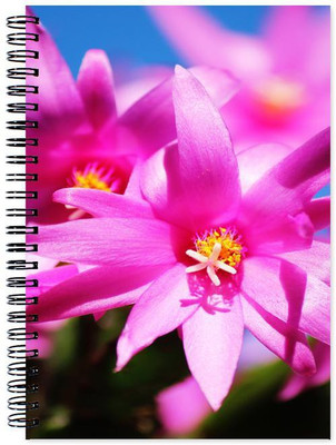 Little Jaipur A5 Note Book(Designer, Multicolor)