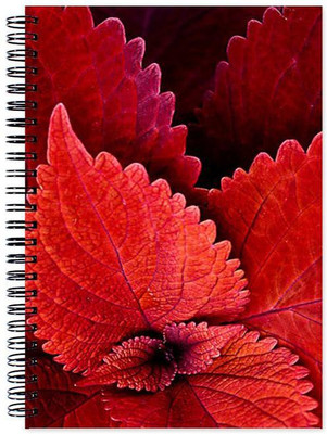Little Jaipur A5 Note Book(Designer, Multicolor)