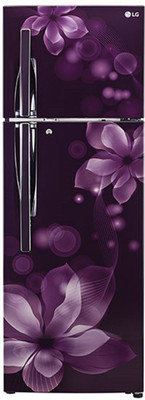 LG 260 L Frost Free Double Door 3 Star Convertible Refrigerator(Purple Orchid, GL-T292RPOY)
LG 260 L Frost Free Double Door 3 Star Convertible Refrigerator(Purple Orchid, GL-T292RPOY)