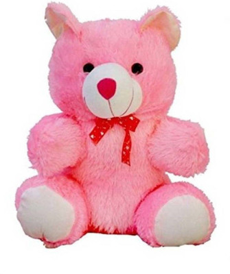 DMGC BB SOFTSitting Soft Hugable Teddy Bear - 60 cm(Pink)