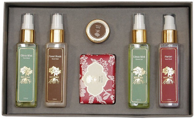 Roots and Above Aromatherapy Kit(Set of 6)