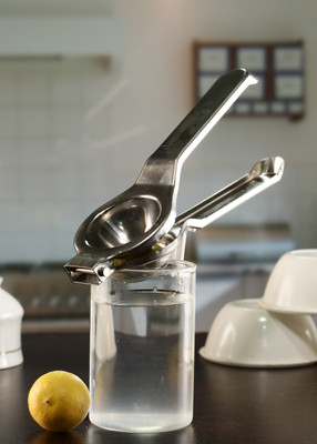 KVG SSLemon Squeezer Steel Masher(Steel, Pack of 1)