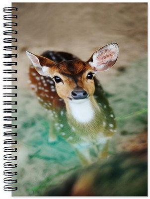 VenTechno A5 Diary(Animal Designer Wirebound Ruled Paper Sheets Personal and Office Stationary Notebooks Diary, Multicolor)
VenTechno A5 Diary(Animal Designer Wirebound Ruled Paper Sheets Personal and Office Stationary Notebooks Diary, Multicolor)