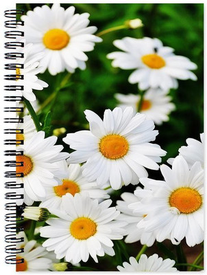 Chesta Enterprises A5 Note Book(Designer, Multicolor)