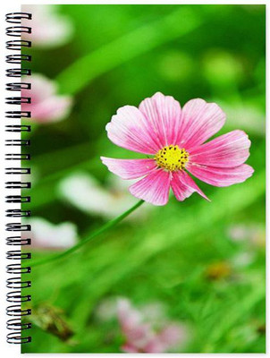 Little Jaipur A5 Note Book(Designer, Multicolor)