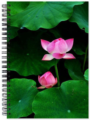 VenTechno A5 Diary(Flower Designer Wirebound Ruled Paper Sheets Personal and Office Stationary Notebooks Diary, Multicolor)
VenTechno A5 Diary(Flower Designer Wirebound Ruled Paper Sheets Personal and Office Stationary Notebooks Diary, Multicolor)