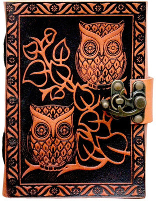 SR MART A5 Diary(Double Owl Diary, Orange)