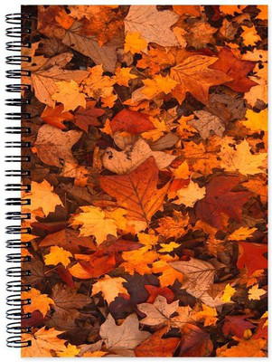 Chesta Enterprises A5 Note Book(Designer, Multicolor)