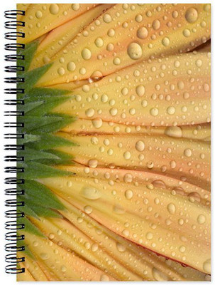 Chesta Enterprises A5 Note Book(Designer, Multicolor)