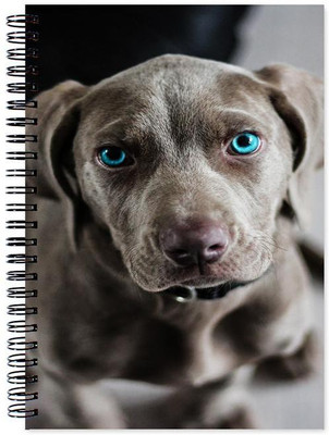 Chesta Enterprises A5 Note Book(Designer, Multicolor)