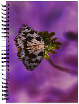 Chesta Enterprises A5 Note Book(Designer, Multicolor)