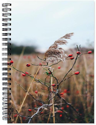 Chesta Enterprises A5 Note Book(Designer, Multicolor)