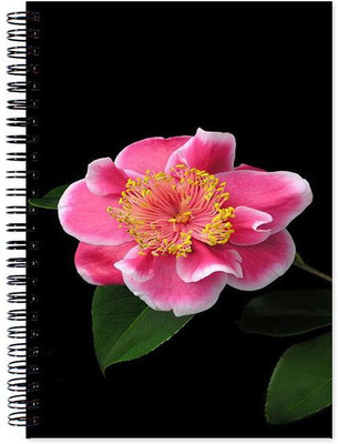 VenTechno A5 Diary(Flower Designer Wirebound Ruled Paper Sheets Personal and Office Stationary Notebooks Diary, Multicolor)
VenTechno A5 Diary(Flower Designer Wirebound Ruled Paper Sheets Personal and Office Stationary Notebooks Diary, Multicolor)
