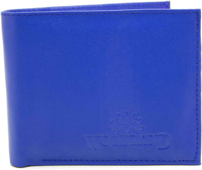 NIetz Boys Blue Artificial Leather Wallet(4 Card Slots)