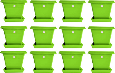 Mopi SQUARE 12 INCH WHITE PLANTER WITH PLATE PACK OF 2 Plant Plant Container Set(Pack of 12, Plastic)
Mopi SQUARE 12 INCH WHITE PLANTER WITH PLATE PACK OF 2 Plant Plant Container Set(Pack of 12, Plastic)
