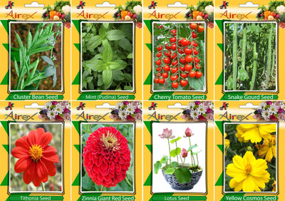 Airex Cluster Bean, Mint (Pudina), Tomato Cherry, Snake Gourd, Tithonia, Red Zinnia, Lotus and Yellow Cosmos Seed (Pack Of 15 seed * 4 Per Pkts of Vegetables) + (Pack Of 15 Seed * 4 Per Pkts Flower) Seed Seed(15 per packet)
Airex Cluster Bean, Mint (Pudina), Tomato Cherry, Snake Gourd, Tithonia, Red Zinnia, Lotus and Yellow Cosmos Seed (Pack Of 15 seed * 4 Per Pkts of Vegetables) + (Pack Of 15 Seed * 4 Per Pkts Flower) Seed Seed(15 per packet)