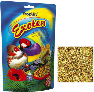 ROYAL PET Tropifit Exoten 700g | Premium High Quality Guaranteed (MADE IN EU) 700 g Dry Bird Food
ROYAL PET Tropifit Exoten 700g | Premium High Quality Guaranteed (MADE IN EU) 700 g Dry Bird Food