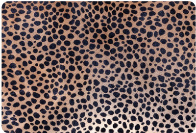 joinkart 156LAPA058 vinyl Laptop Decal 15.6