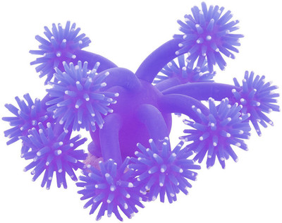 JAINSONS PET PRODUCTS Soft Silicon Sea Anemone Fish Tank Aquarium Decor Ornament Purple Aquarium Plant Anchor({Plant Anchors1)
JAINSONS PET PRODUCTS Soft Silicon Sea Anemone Fish Tank Aquarium Decor Ornament Purple Aquarium Plant Anchor({Plant Anchors1)