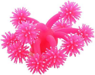 JAINSONS PET PRODUCTS Soft Silicon Sea Anemone Fish Tank Aquarium Decor Ornament Pink Aquarium Plant Anchor({Plant Anchors1)
JAINSONS PET PRODUCTS Soft Silicon Sea Anemone Fish Tank Aquarium Decor Ornament Pink Aquarium Plant Anchor({Plant Anchors1)