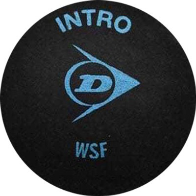 Dunlop D1SB700105 Squash Ball(Pack of 1, Black)