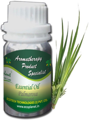 Ecoplanet Parsley Essential oil(50 g)