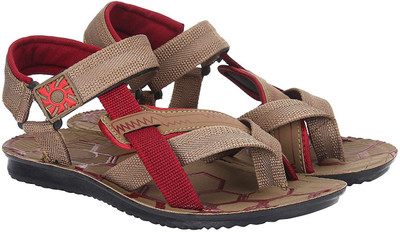 SHOEFLY Men Brown Casual