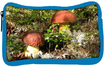 Snoogg Eco Friendly Canvas Yellow Stem Mushroom Designer Student Pen Pencil Case Coin Purse Pouch Cosmetic Makeup Bag (BLUE) Pouch(Multicolor)
Snoogg Eco Friendly Canvas Yellow Stem Mushroom Designer Student Pen Pencil Case Coin Purse Pouch Cosmetic Makeup Bag (BLUE) Pouch(Multicolor)