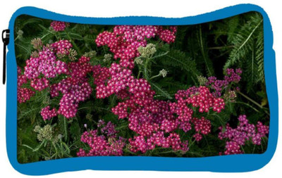 Snoogg Eco Friendly Canvas Red And Green Flowers Designer Student Pen Pencil Case Coin Purse Pouch Cosmetic Makeup Bag (BLUE) Pouch(Multicolor)
Snoogg Eco Friendly Canvas Red And Green Flowers Designer Student Pen Pencil Case Coin Purse Pouch Cosmetic Makeup Bag (BLUE) Pouch(Multicolor)