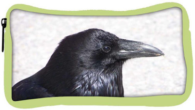 Snoogg Eco Friendly Canvas Crow Animal Hd Designer Student Pen Pencil Case Coin Purse Pouch Cosmetic Makeup Bag (GREEN) Pouch(Multicolor)
Snoogg Eco Friendly Canvas Crow Animal Hd Designer Student Pen Pencil Case Coin Purse Pouch Cosmetic Makeup Bag (GREEN) Pouch(Multicolor)