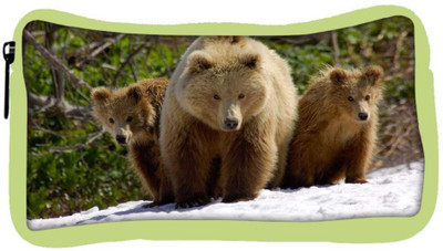 Snoogg Eco Friendly Canvas Three Bears Designer Student Pen Pencil Case Coin Purse Pouch Cosmetic Makeup Bag (GREEN) Pouch(Multicolor)
Snoogg Eco Friendly Canvas Three Bears Designer Student Pen Pencil Case Coin Purse Pouch Cosmetic Makeup Bag (GREEN) Pouch(Multicolor)