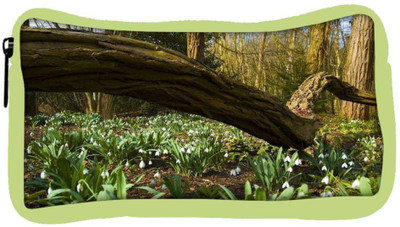 Snoogg Eco Friendly Canvas Long Branch Tree Designer Student Pen Pencil Case Coin Purse Pouch Cosmetic Makeup Bag (GREEN) Pouch(Multicolor)
Snoogg Eco Friendly Canvas Long Branch Tree Designer Student Pen Pencil Case Coin Purse Pouch Cosmetic Makeup Bag (GREEN) Pouch(Multicolor)