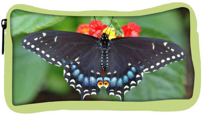 Snoogg Eco Friendly Canvas Black Butterfly Flying Designer Student Pen Pencil Case Coin Purse Pouch Cosmetic Makeup Bag (GREEN) Pouch(Multicolor)
Snoogg Eco Friendly Canvas Black Butterfly Flying Designer Student Pen Pencil Case Coin Purse Pouch Cosmetic Makeup Bag (GREEN) Pouch(Multicolor)