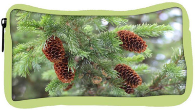 Snoogg Eco Friendly Canvas Brown Flower Designer Student Pen Pencil Case Coin Purse Pouch Cosmetic Makeup Bag (GREEN) Pouch(Multicolor)
Snoogg Eco Friendly Canvas Brown Flower Designer Student Pen Pencil Case Coin Purse Pouch Cosmetic Makeup Bag (GREEN) Pouch(Multicolor)