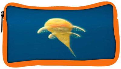 Snoogg Eco Friendly Canvas Armenia Fish Student Pen Pencil Case Coin Purse Pouch Cosmetic Makeup Bag (ORANGE) Pouch(Multicolor)
Snoogg Eco Friendly Canvas Armenia Fish Student Pen Pencil Case Coin Purse Pouch Cosmetic Makeup Bag (ORANGE) Pouch(Multicolor)
