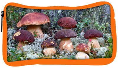 Snoogg Eco Friendly Canvas Dark Red Mushroom Designer Student Pen Pencil Case Coin Purse Pouch Cosmetic Makeup Bag (ORANGE) Pouch(Multicolor)
Snoogg Eco Friendly Canvas Dark Red Mushroom Designer Student Pen Pencil Case Coin Purse Pouch Cosmetic Makeup Bag (ORANGE) Pouch(Multicolor)
