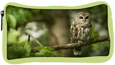 Snoogg Eco Friendly Canvas Owl Sitting Designer Student Pen Pencil Case Coin Purse Pouch Cosmetic Makeup Bag (GREEN) Pouch(Multicolor)
Snoogg Eco Friendly Canvas Owl Sitting Designer Student Pen Pencil Case Coin Purse Pouch Cosmetic Makeup Bag (GREEN) Pouch(Multicolor)