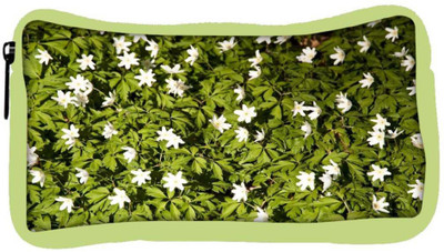 Snoogg Eco Friendly Canvas Anemones Student Pen Pencil Case Coin Purse Pouch Cosmetic Makeup Bag (GREEN) Pouch(Multicolor)
Snoogg Eco Friendly Canvas Anemones Student Pen Pencil Case Coin Purse Pouch Cosmetic Makeup Bag (GREEN) Pouch(Multicolor)
