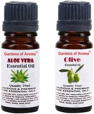 Gardens Of Aroma Aloe vera And Olive(20 ml)