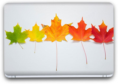Flipkart SmartBuy Shades Of Leaves Vinyl Laptop Skin (3M/Avery Vinyl, Matte Laminated, 14" x 9") Vinyl Laptop Decal 14.1
Flipkart SmartBuy Shades Of Leaves Vinyl Laptop Skin (3M/Avery Vinyl, Matte Laminated, 14" x 9") Vinyl Laptop Decal 14.1