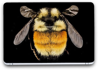 Flipkart SmartBuy Bee Different Vinyl Laptop Skin (3M/Avery Vinyl, 14" x 9") Vinyl Laptop Decal 14.1
Flipkart SmartBuy Bee Different Vinyl Laptop Skin (3M/Avery Vinyl, 14" x 9") Vinyl Laptop Decal 14.1