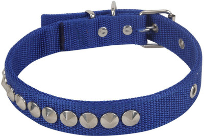 SRI Adjustable Nylon Silk Dog Collar 1 Inch With Silver Spike Studs Dog Everyday Collar(, Blue
SRI Adjustable Nylon Silk Dog Collar 1 Inch With Silver Spike Studs Dog Everyday Collar(, Blue