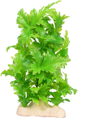 Liger India Aquarium/ Fish Tank Decorative Artificial Plant Laterite Planted Substrate(Green)
Liger India Aquarium/ Fish Tank Decorative Artificial Plant Laterite Planted Substrate(Green)