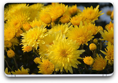 Flipkart SmartBuy Floral Garden 19 Vinyl Laptop Skin (3M/Avery Vinyl, Matte Laminated, 13 x 8.5 inches) Vinyl Laptop Decal 13.3