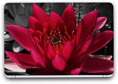 Flipkart SmartBuy Beauty Of Flowers 29 Vinyl Laptop Skin (Avery Vinyl, Matte Laminated, 15 x 10 inches) Vinyl Laptop Decal 15.6
Flipkart SmartBuy Beauty Of Flowers 29 Vinyl Laptop Skin (Avery Vinyl, Matte Laminated, 15 x 10 inches) Vinyl Laptop Decal 15.6