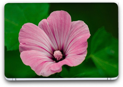 Flipkart SmartBuy Pink Flower 14 Vinyl Laptop Skin (3M/Avery Vinyl, Matte Laminated, 14 x 9 inches) Vinyl Laptop Decal 14.1
Flipkart SmartBuy Pink Flower 14 Vinyl Laptop Skin (3M/Avery Vinyl, Matte Laminated, 14 x 9 inches) Vinyl Laptop Decal 14.1