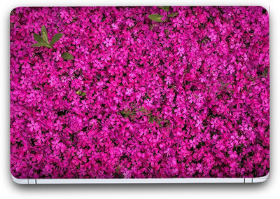 Flipkart SmartBuy Garden Of Flowers 4 Vinyl Laptop Skin (3M/Avery Vinyl, Matte Laminated, 14 x 9 inches) Vinyl Laptop Decal 14.1
Flipkart SmartBuy Garden Of Flowers 4 Vinyl Laptop Skin (3M/Avery Vinyl, Matte Laminated, 14 x 9 inches) Vinyl Laptop Decal 14.1