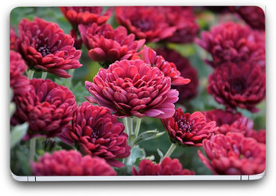Flipkart SmartBuy Floral Garden 16 Vinyl Laptop Skin (3M/Avery Vinyl, Matte Laminated, 14 x 9 inches) Vinyl Laptop Decal 14.1
Flipkart SmartBuy Floral Garden 16 Vinyl Laptop Skin (3M/Avery Vinyl, Matte Laminated, 14 x 9 inches) Vinyl Laptop Decal 14.1
